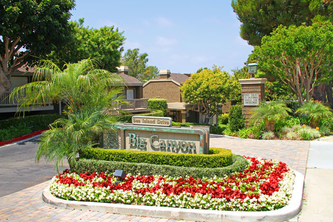 Big Canyon McLain Newport Beach Homes For Sale